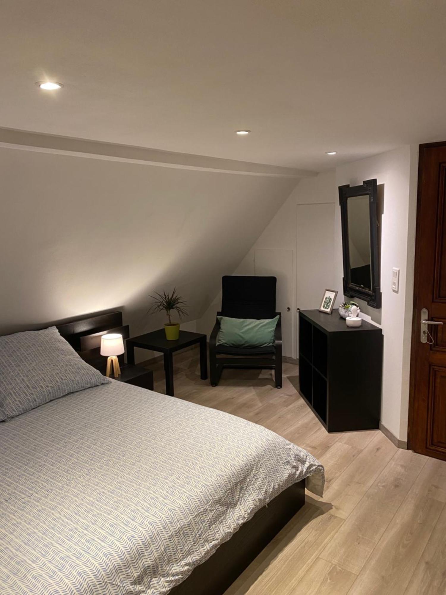 Le 128, Duplex Alsacien 10 Personnes, Piscine * Horbourg